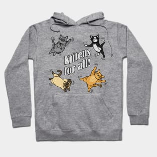 Kittens for all! Hoodie